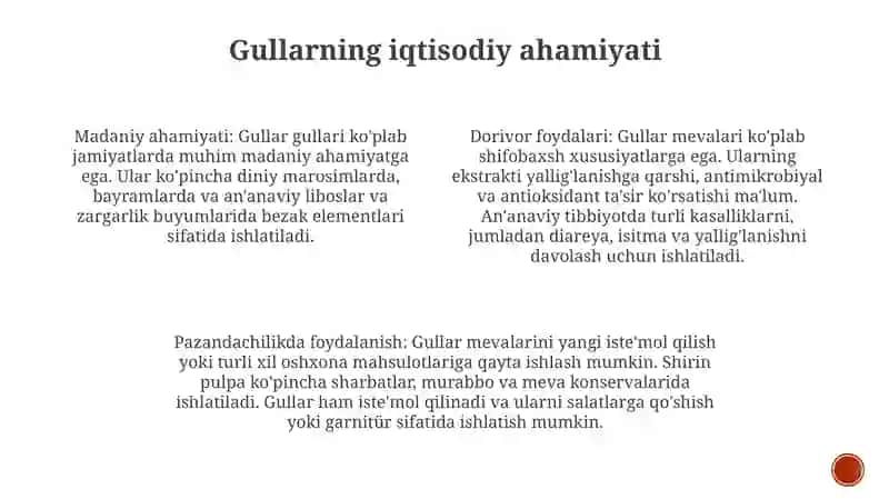 Gullar 3