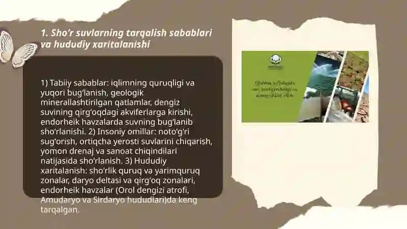 Shõr suvlar tarqalgan hudud õsha suvlarni chuchuklashtirish 3