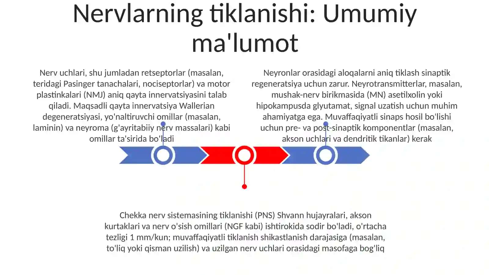 Nerv to‘qima regeneratsiyasi, nerv uchlari - sinapslar, neyromediatorlar 3