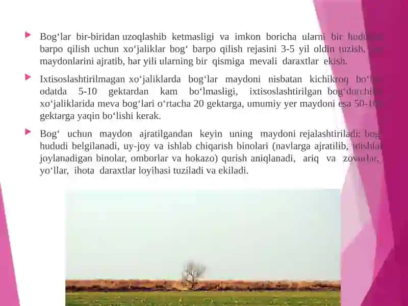 Intensiv bog‘larni barpo qilish 3