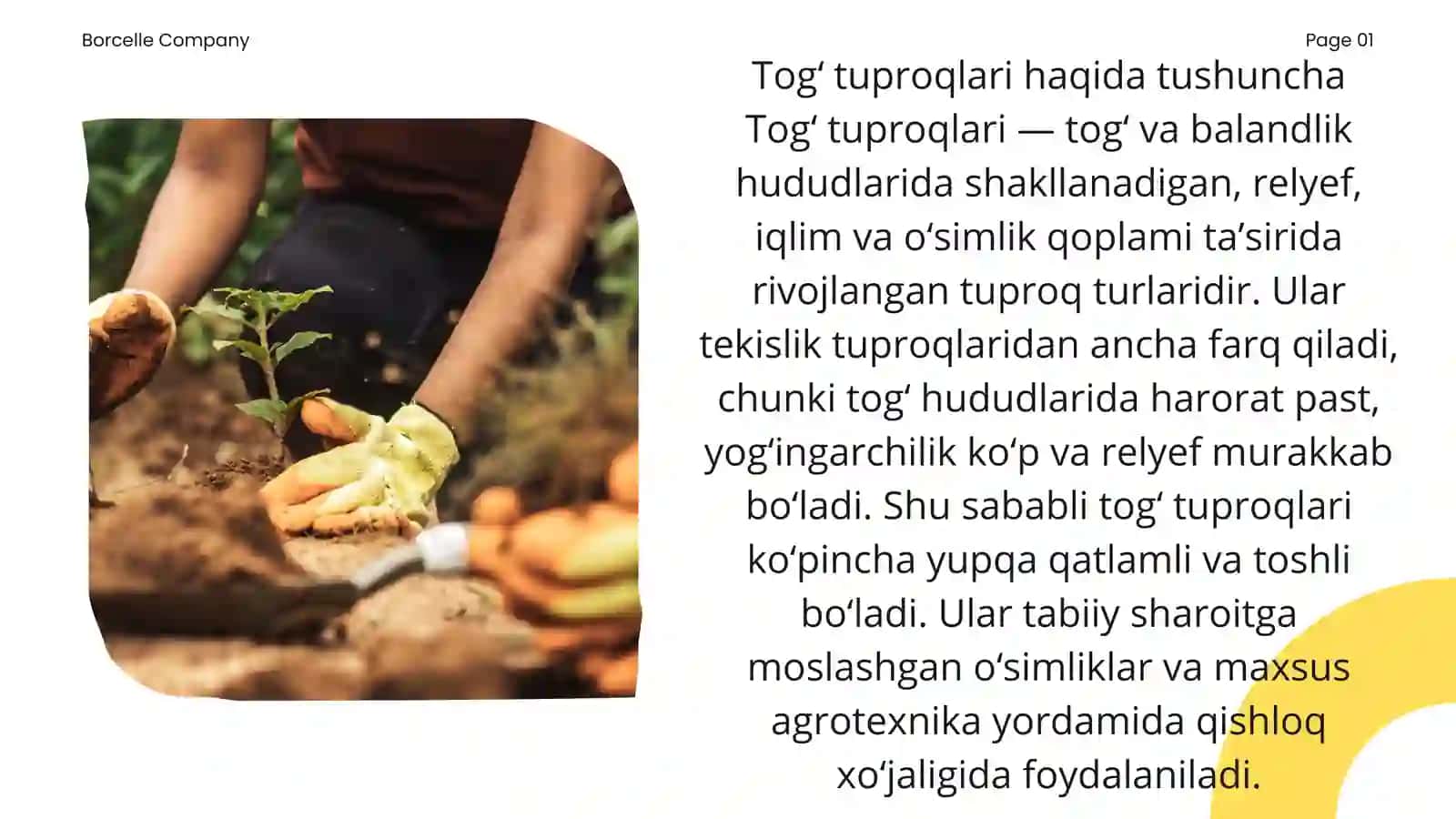 Tog‘ tuproqlaridan qishloq xo‘jaligida foydalanish 3