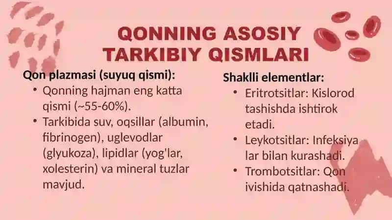 Qonning shaklli elementlari 3
