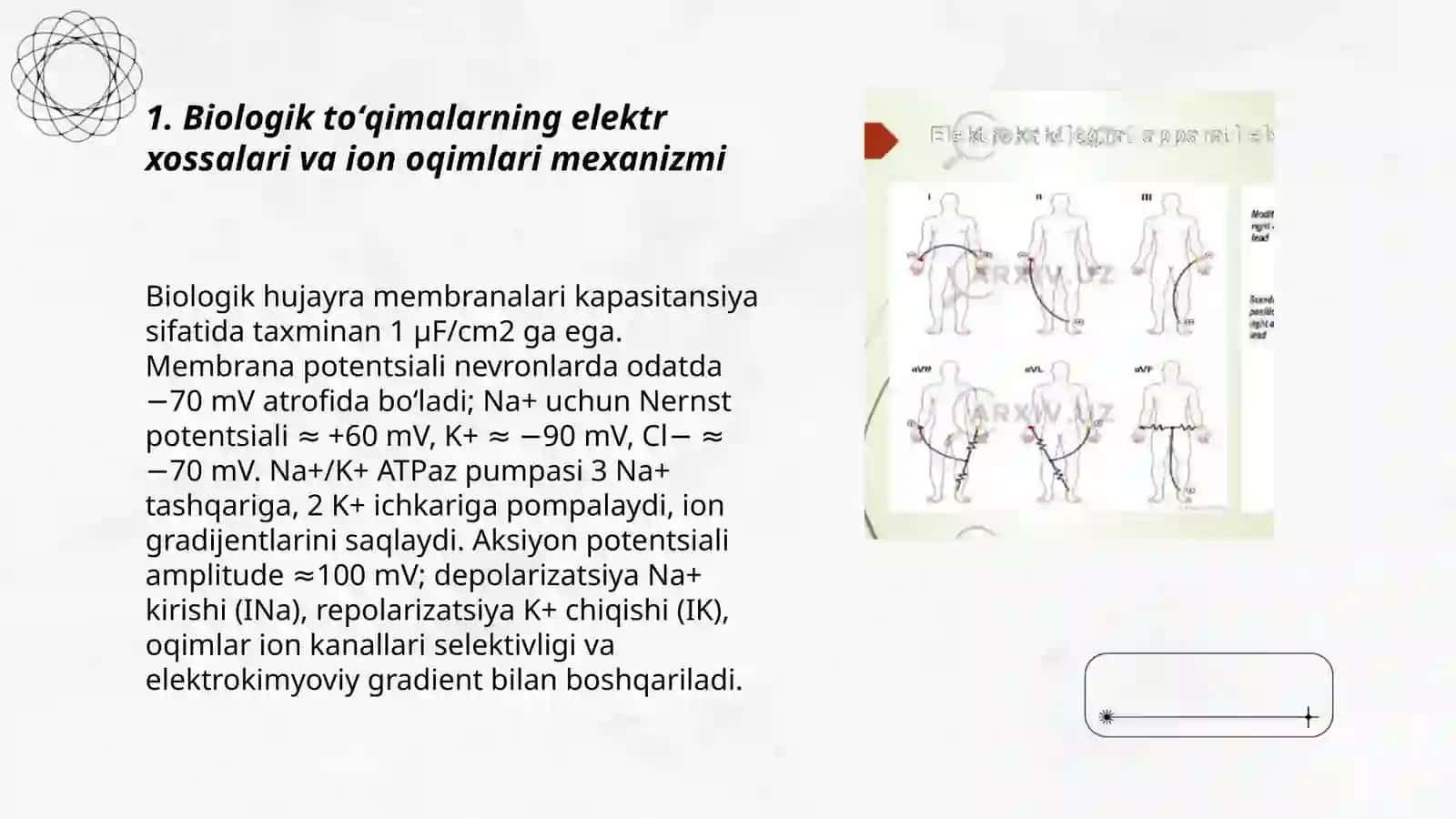 Biologik toʻqimalarning elektr oʻtkazuvchanligi 3