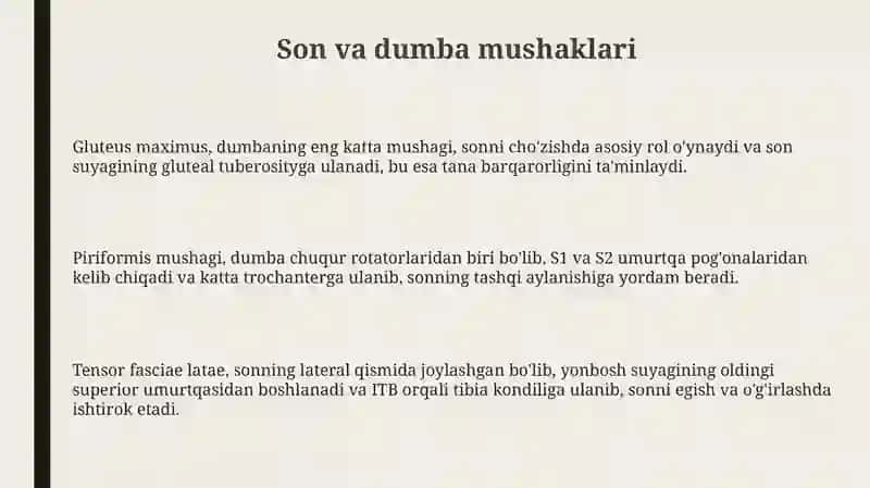 Chanoqvasonmushaklari.Boldirvaoyoqpanjamushaklari.Oyoqningsinovialqinlari 3