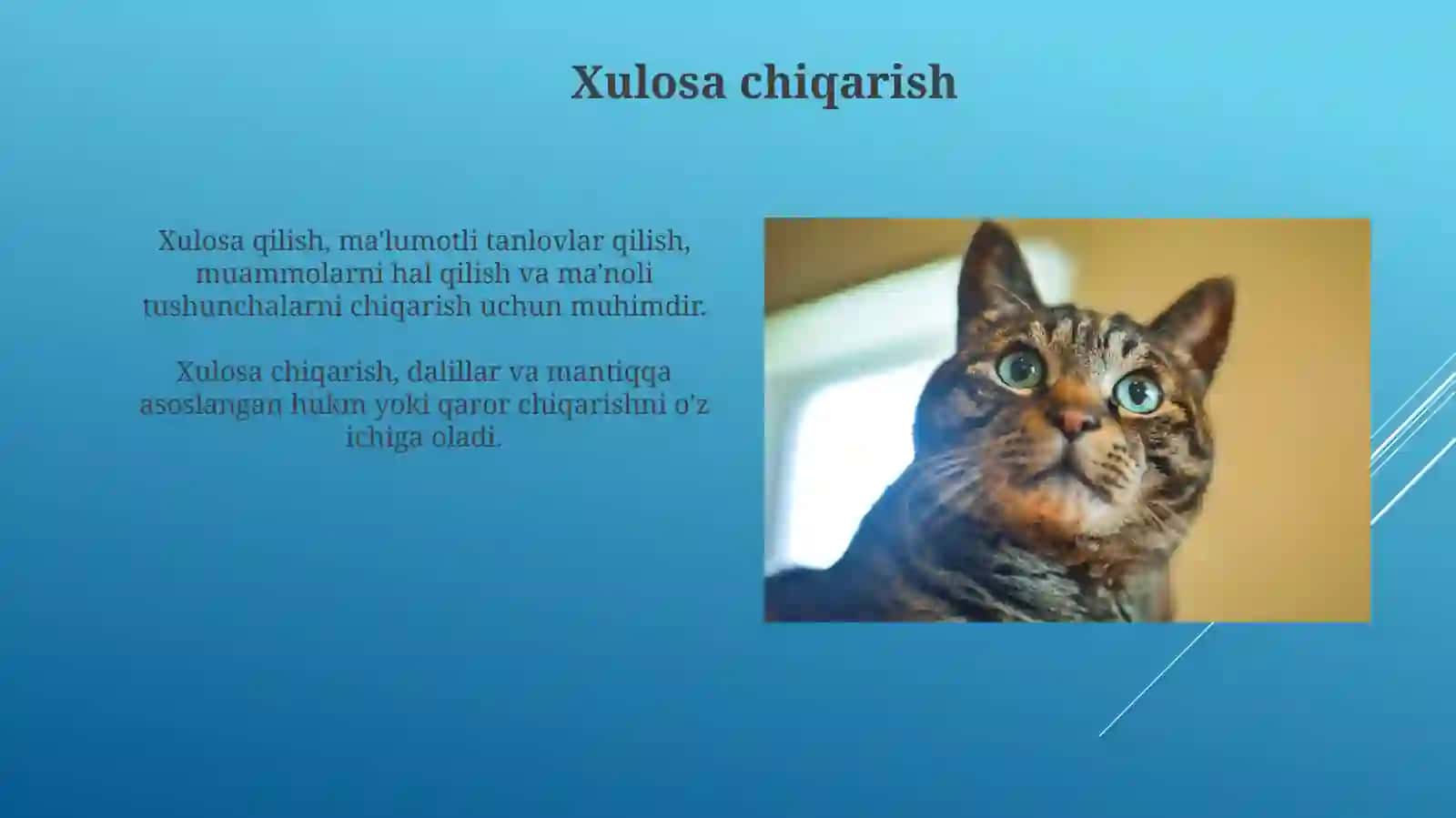 Xulosa chiqarish 3