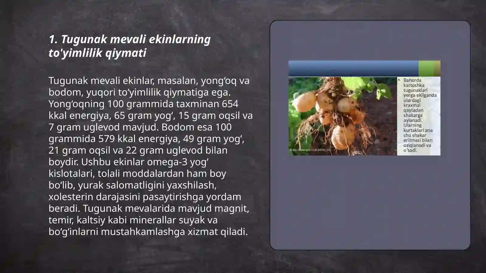 Tugunak mevali ekinlarning ahamyati 3