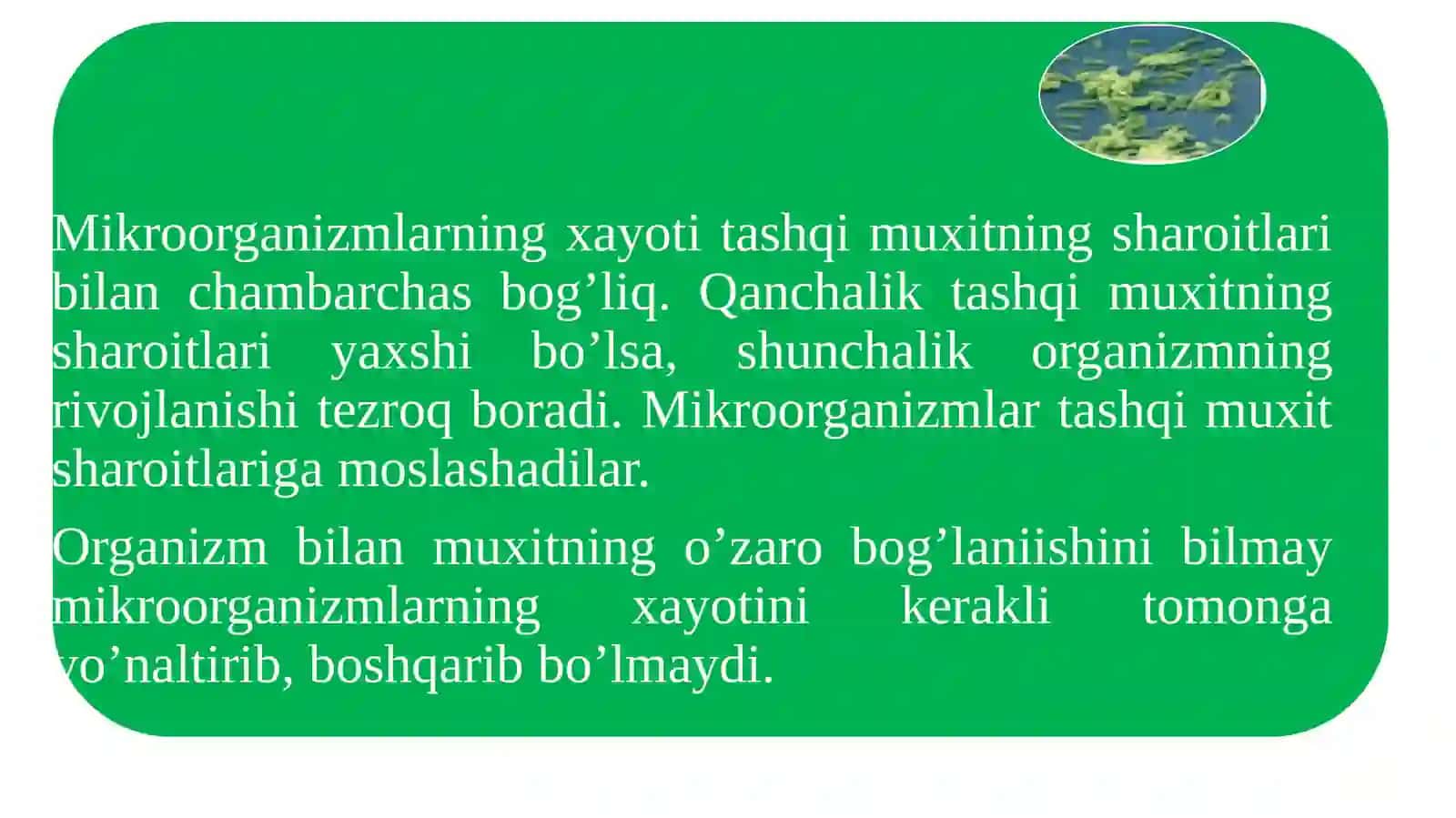 MIKROBIOLOGIYA: FIZIKAVIY OMILLARNING MIKROORGANIZMLARGA TA’SIRI 3