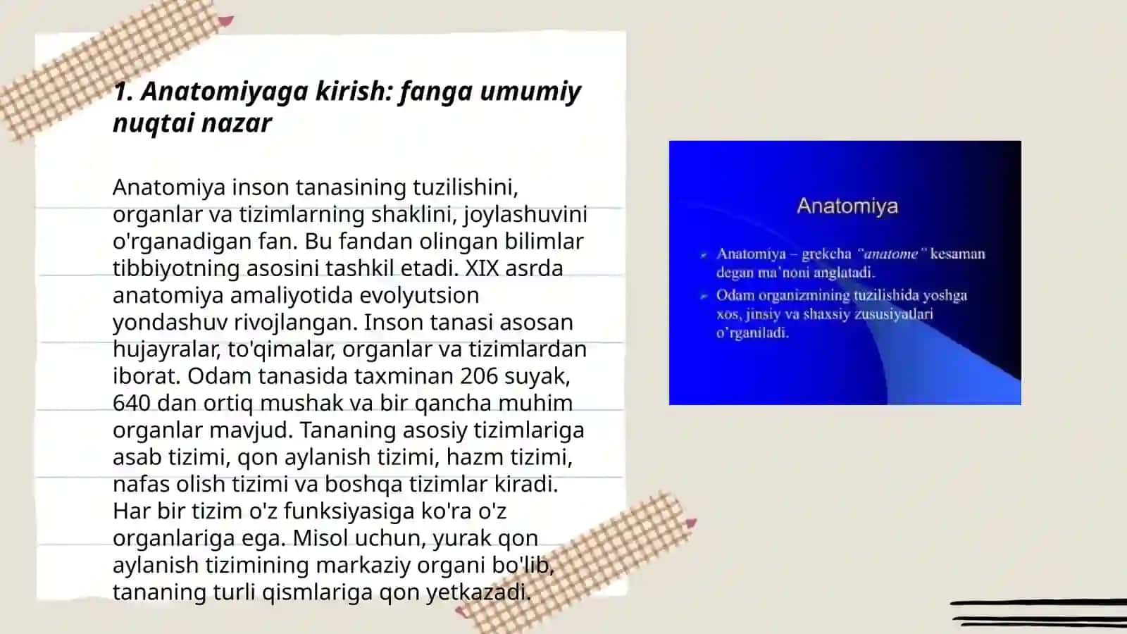Anatomiyaga kirish. Sathlar. Koʻkrak va boʻyin umurtqalari haqida maʼlumot 3
