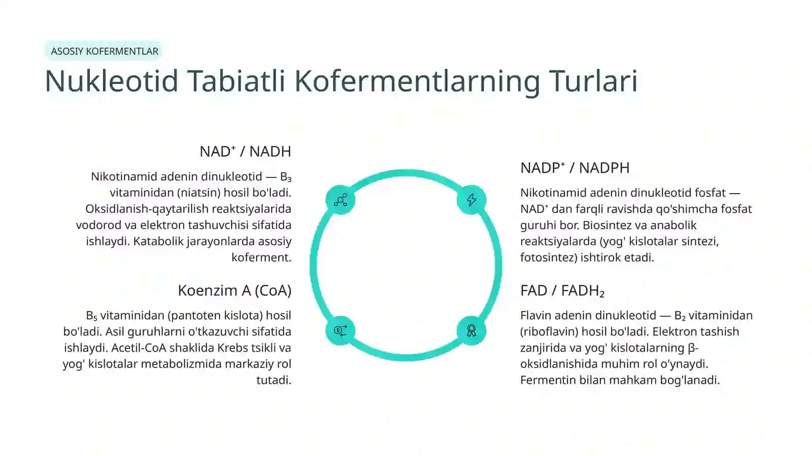Nukleotid Tabiatli Kofermentlar 3