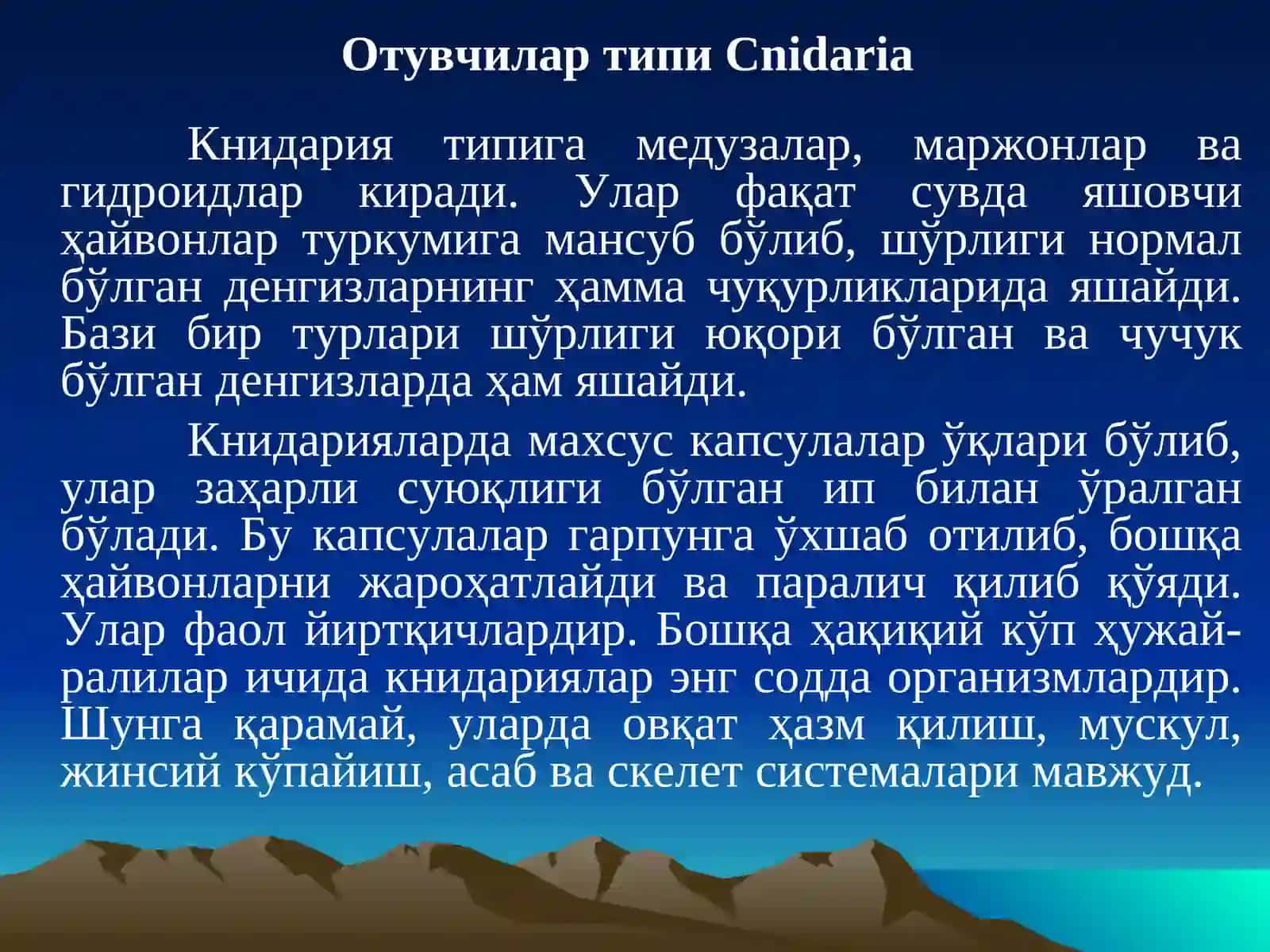 Отувчилар типи 3