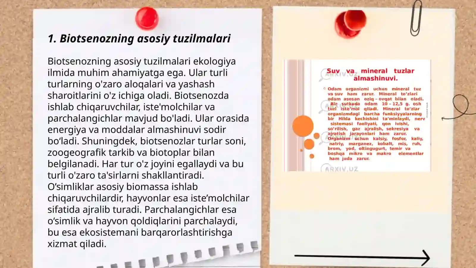 Biotsenoz, biogeotsenoz va ekotizimlarning tuzilmalari va xususiyatlari 3