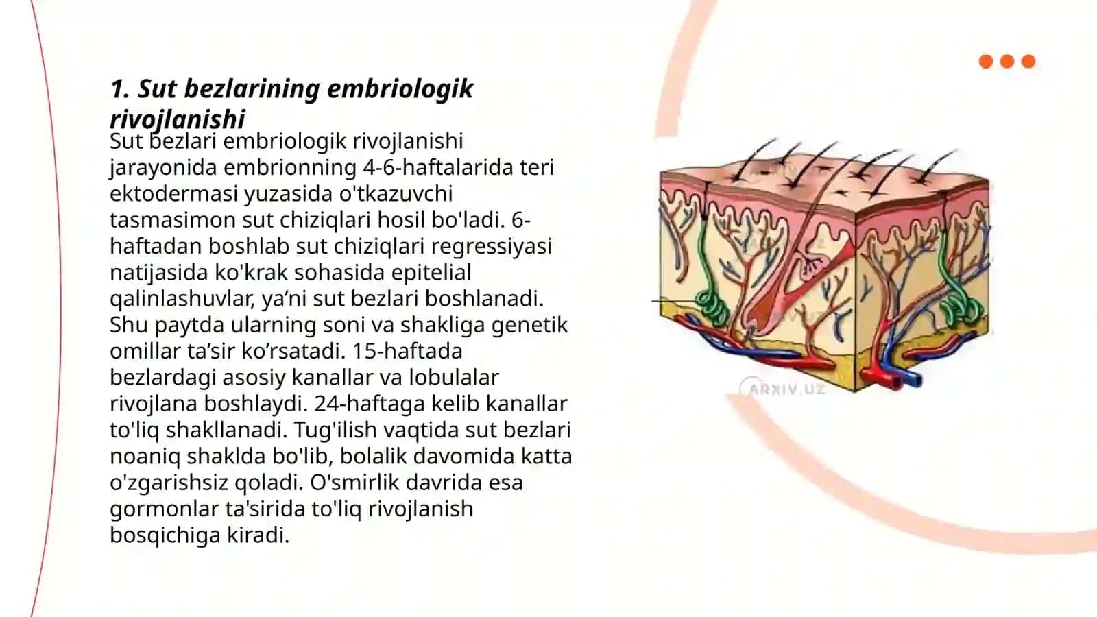 Sut bezlari gistogenezi va gistofiziologiyasi. Laktatsiya jarayonining neyrogumoral mexanizmlari 3