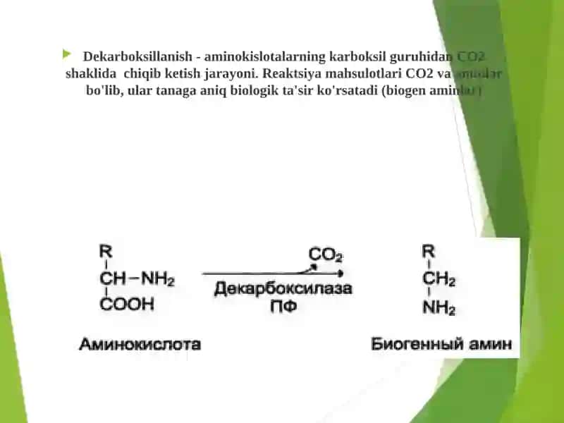 Biogen aminlarning vazifalari. Ammiakning hosil bo’lishi va zararsizlantirish yo’llari. 3