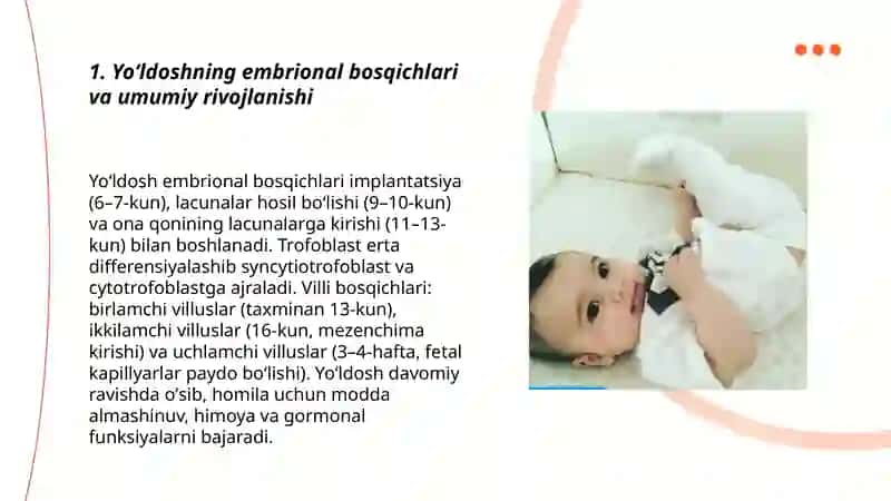 Yoʻldoshning rivojlanishi 3