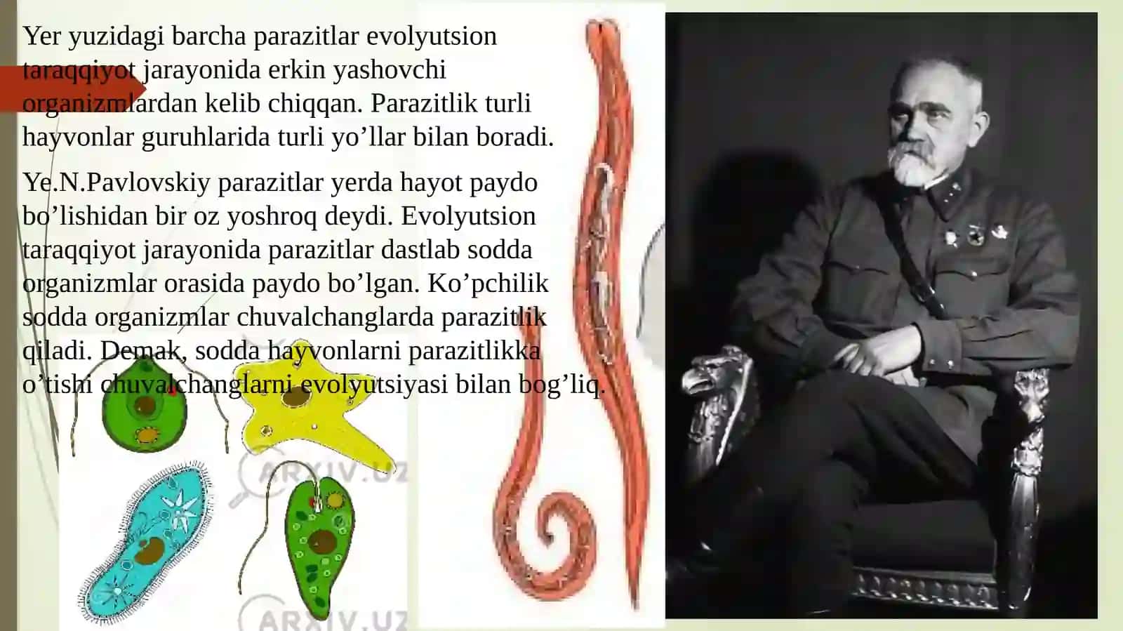 PARAZIT VA XO’JAYIN ORASIDAGI BOG’LANISHNING TURLI-TUMAN SHAKL 3
