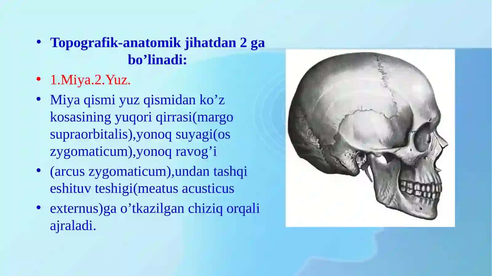 Boshning klinik anatomiyasi 3