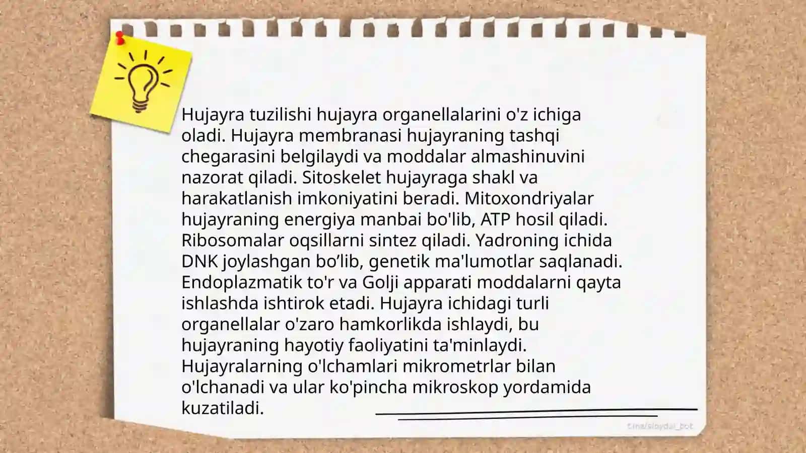 Hujayra 3