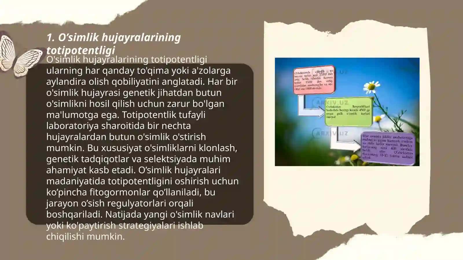 O’SIMLIKLARNI MIKROKLONLASH 3