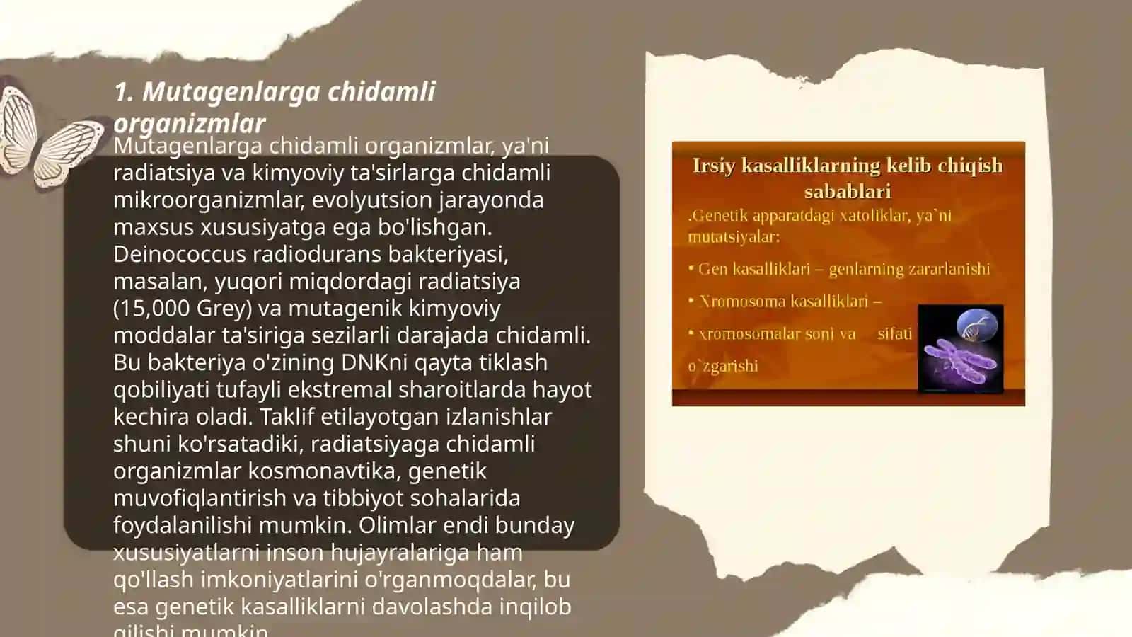 Organizmning mutagen tasiriga chidamliligi. Tomas Morganning xromosoma nazariyasi. Jins genetikasi 3