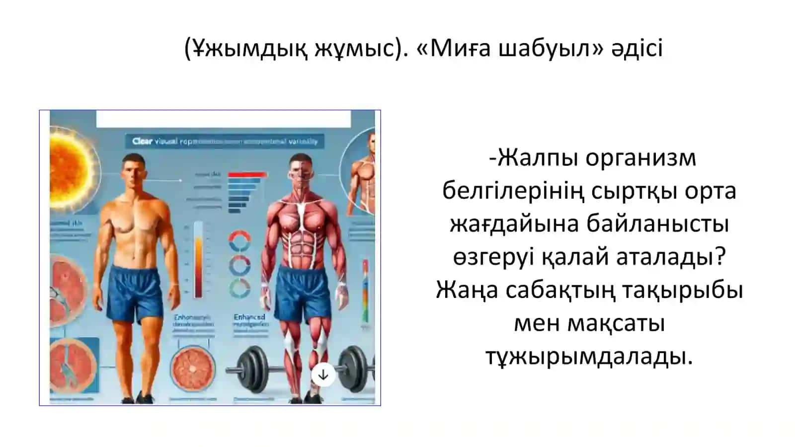 Оқушылар шеңбері 3
