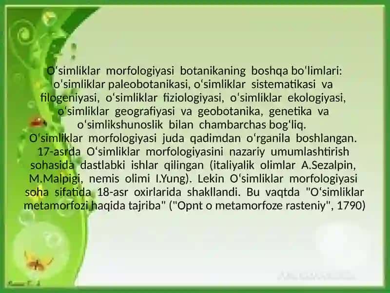 Rahmonqulova Rayhonaning Botanikaning tadqiqot usullari fanida tayyorlagan taqdimoti 3