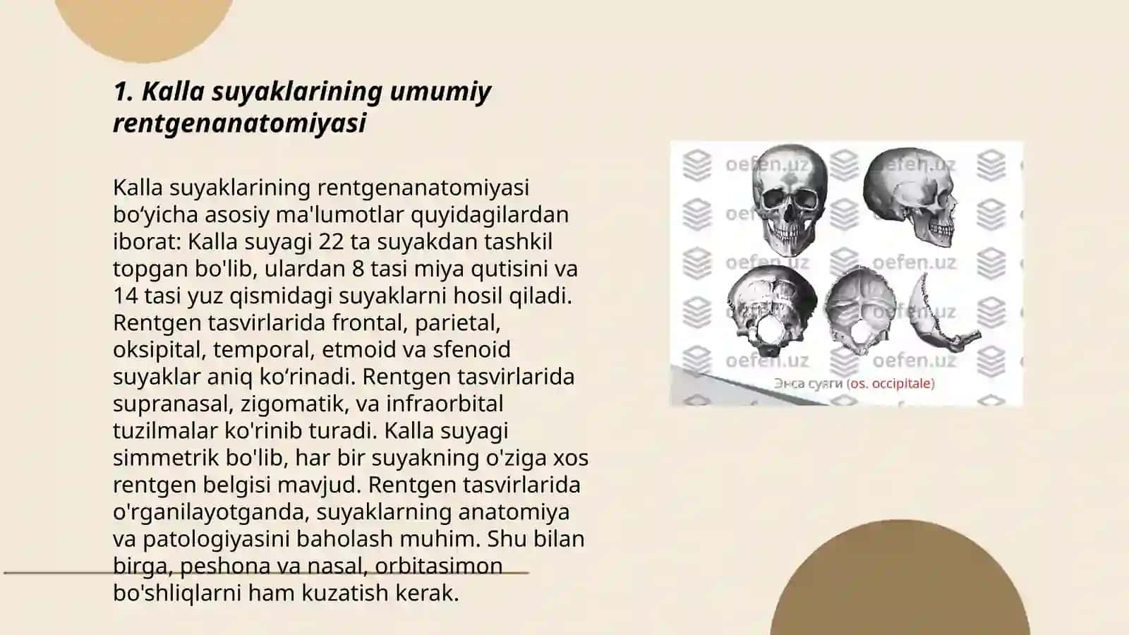 Kalla suyaklarining rentgenanatomiyasi.kalla suyqhining yosho va jinsiy tafovutlari 3