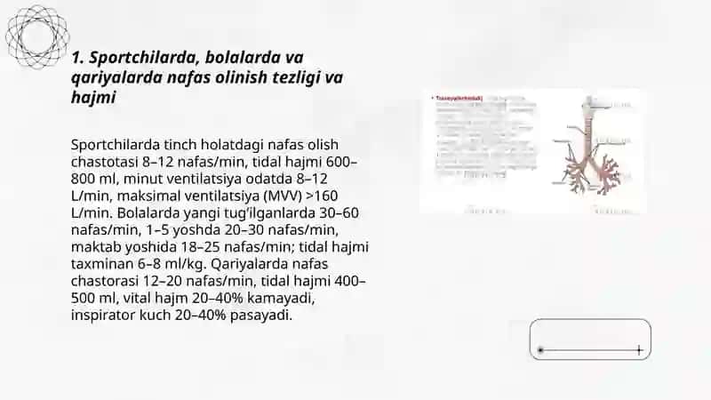 Sportchilar bolalar va qariyalarda nafas tizimi xususiyatlari 3