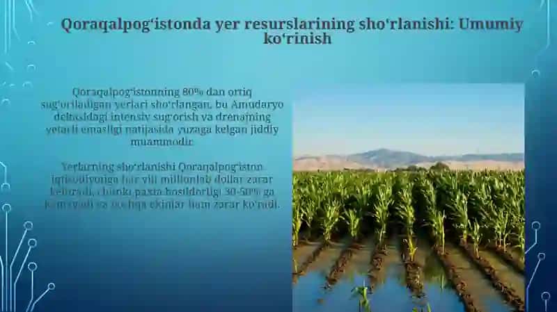 Qoraqalpogʻistonda yer resurslarining shoʻrlanishi: Umumiy koʻrinish 3