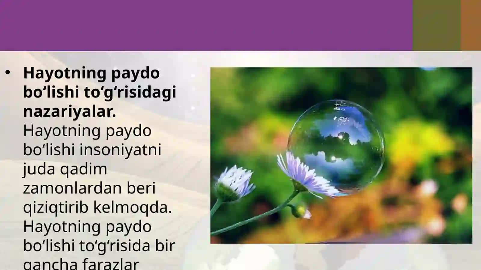 YERDA HAYOTNI PAYDOBOʻLISHIHAQIDAGI NAZARIYALAR 3
