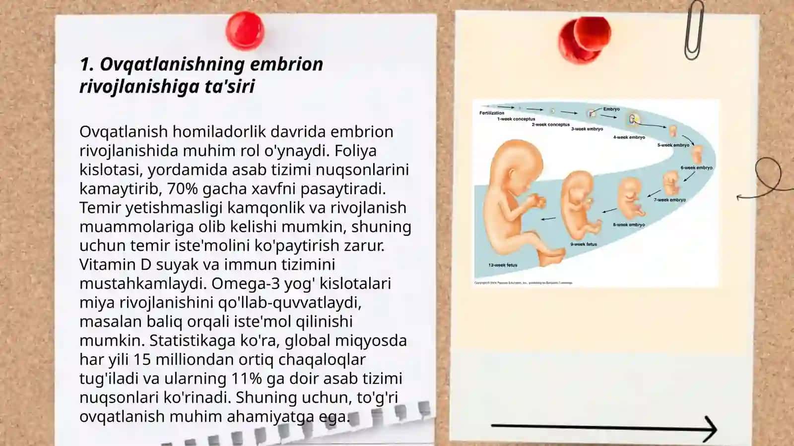 Ovqatlanishning embrion rivojlanishiga ta'siri 3