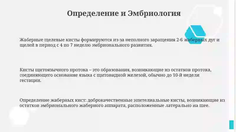 Жаберные щелевые кисты и кисты щитоязычного протока 3