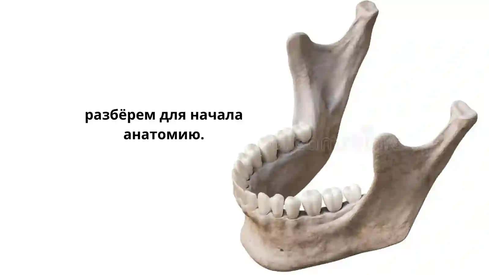 Мандибуляр анестезия 3