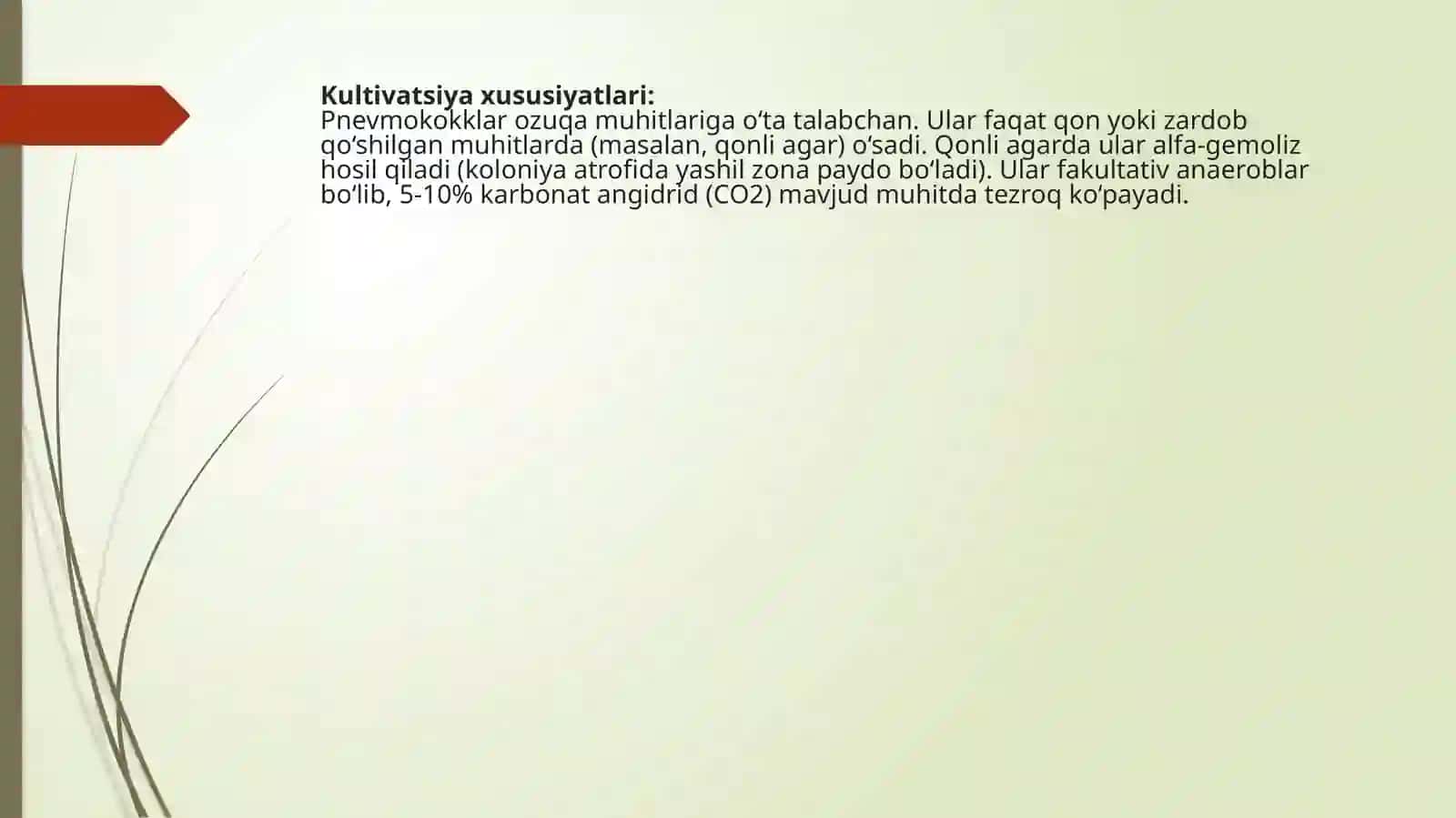 Pnevmokokklar tavsifi 3