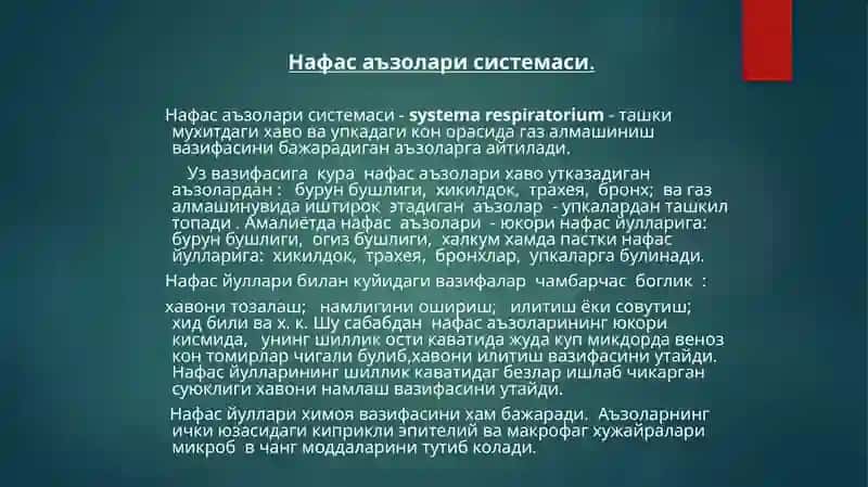 Nafas olish sistemasi anatomiyasi 3
