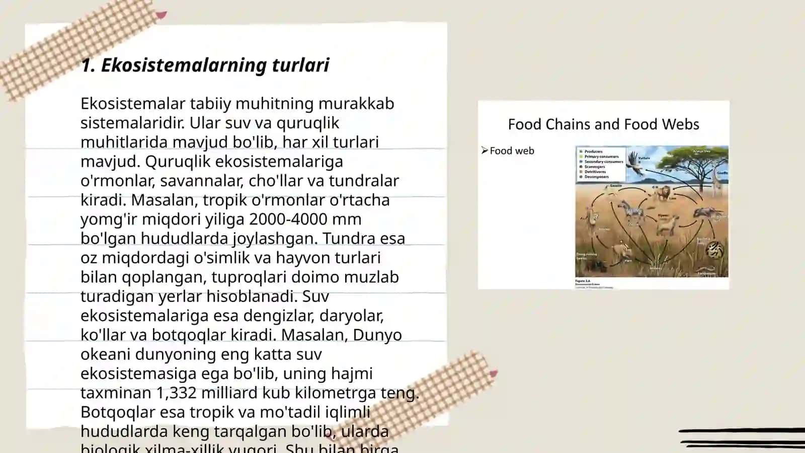 Ekosistemalarning tarkibiy qismlari 3