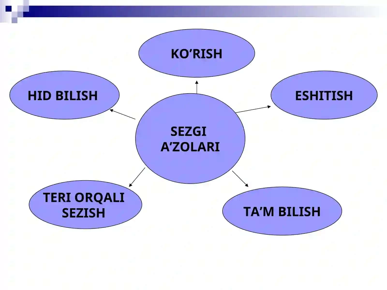 KO’RISH ANALIZATORI 3
