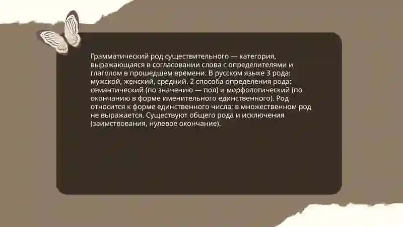 Грамматический род существительного 3