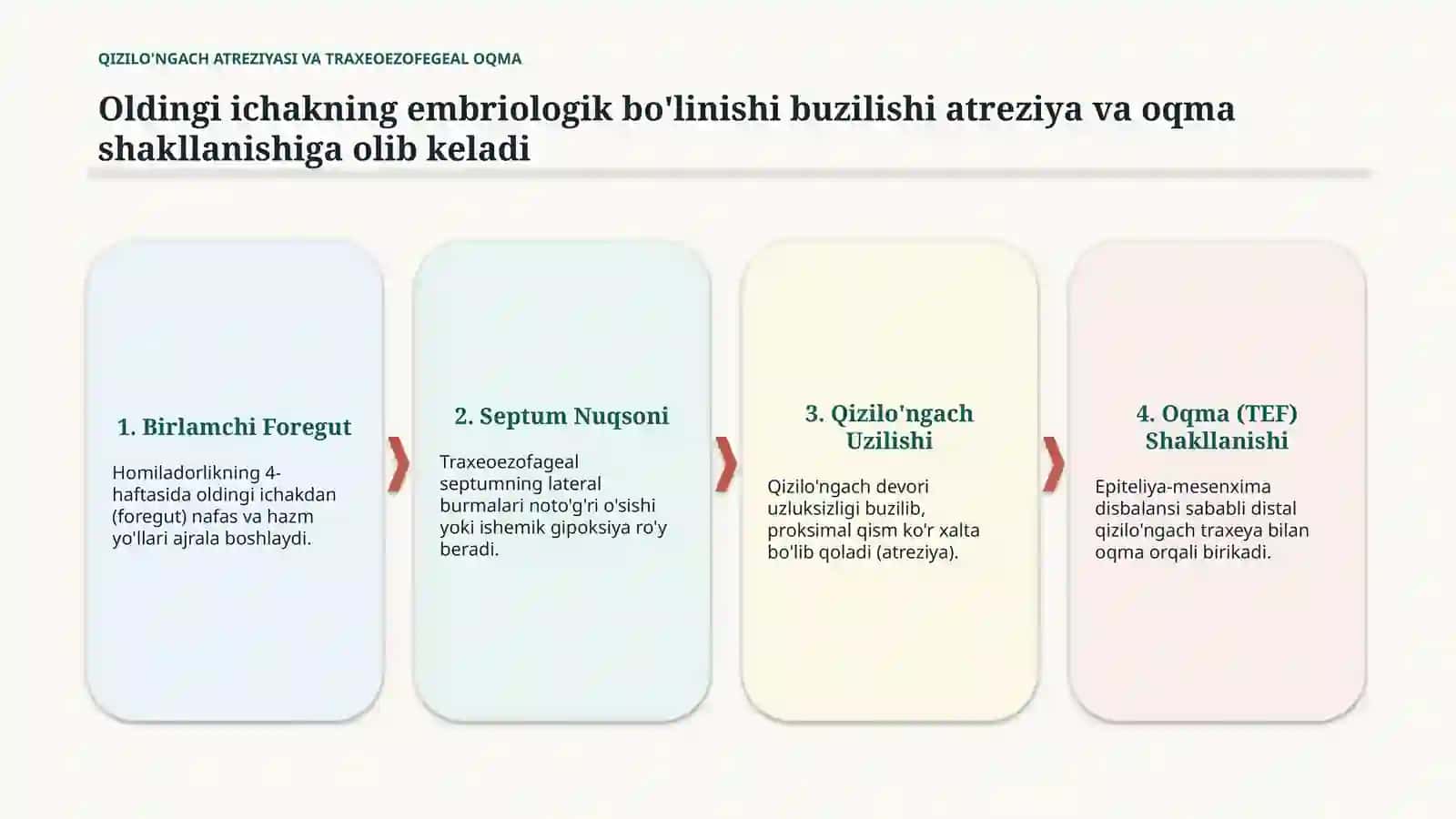 QIZILO'NGACH ATREZIYASI 3