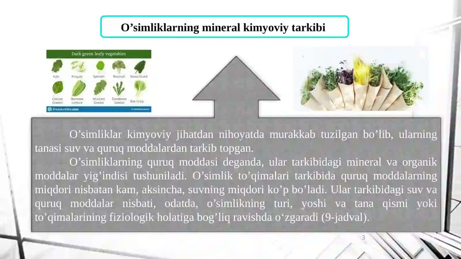 O’simliklarnnngkimyoviytarkibivaoziqlanishi 3