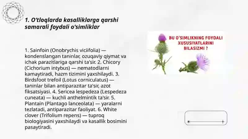 Oʻt yoʻllari kasallilarida foydali oʻsimliklar 3