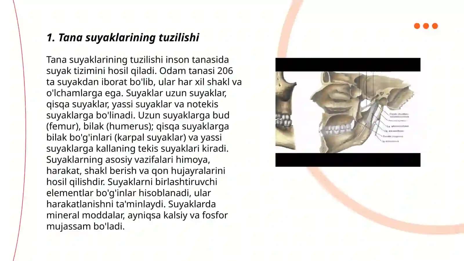 Tana suyaklarining tuzilishi 3