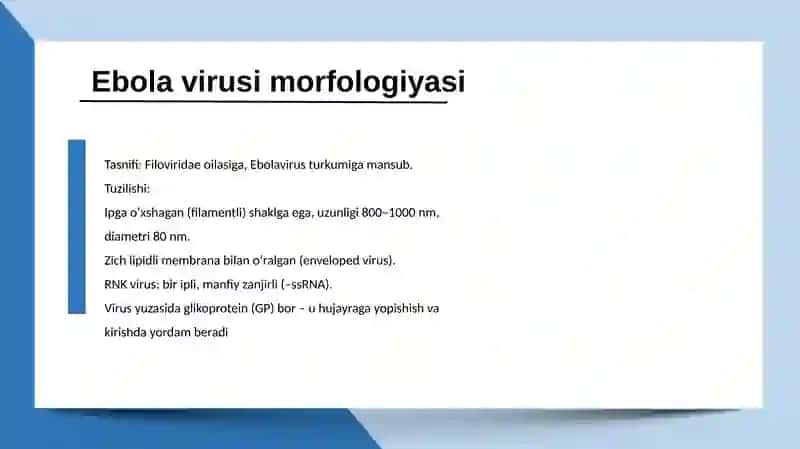 Ebola, Lassava, Zika virusi 3
