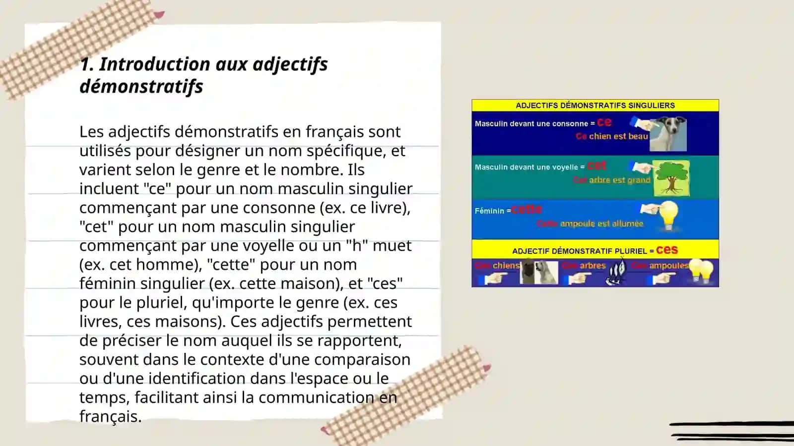 Les adjectifs demonstrating en français 3
