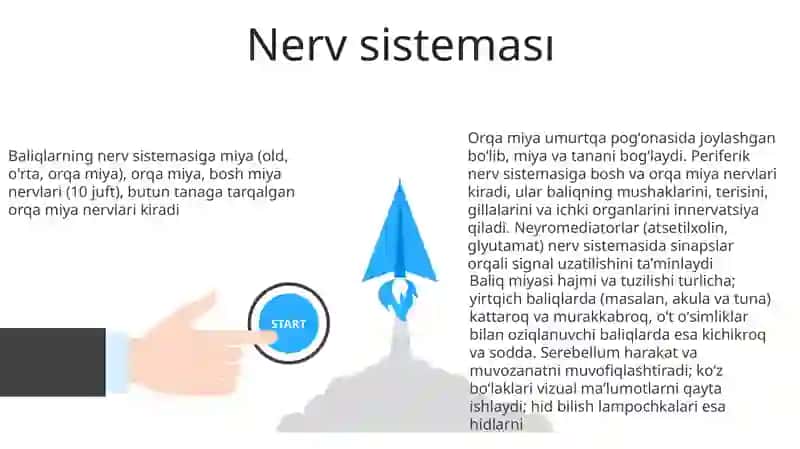 Suyakli baliqlarning tuzilishi va hayot kechirishi 3