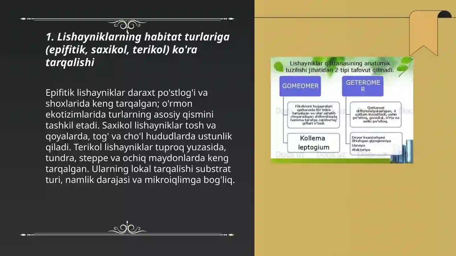 Lishayniklarning tabiatda tarqalishi va ahamiyati 3
