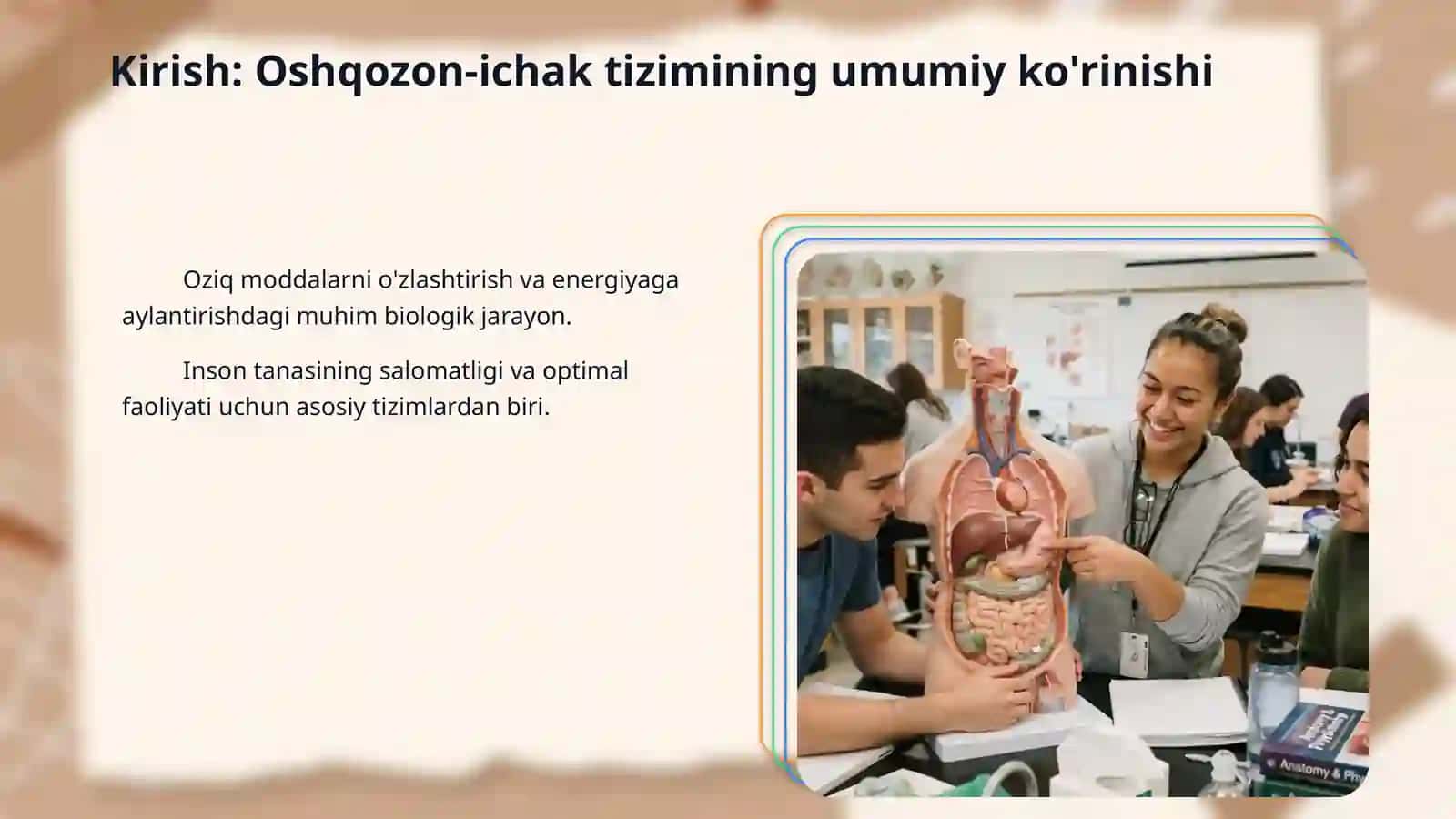 Овкат хазм  килиш тизими 3