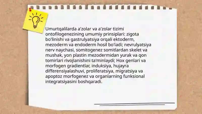 Umurtqalilarda a'zolar va a'zolar tizimi ontofilogenezi 3