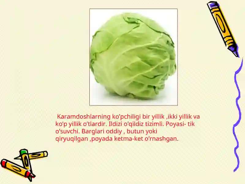 Karamdoshlar oilasi 3