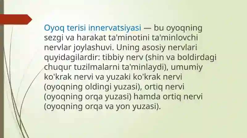 Oyoq Terisining Innervatsiyasi 3
