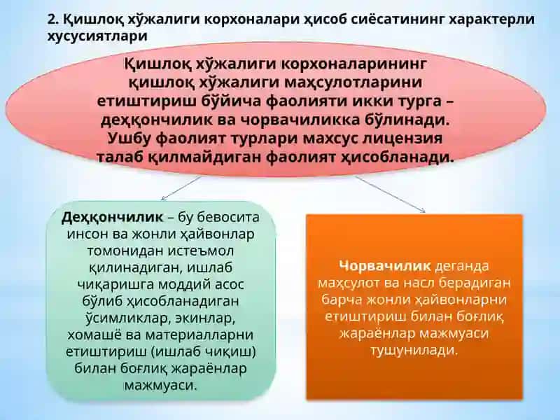 Қишлоқ хўжалиги корхоналарида бухгалтерия ҳисобининг особенности 3